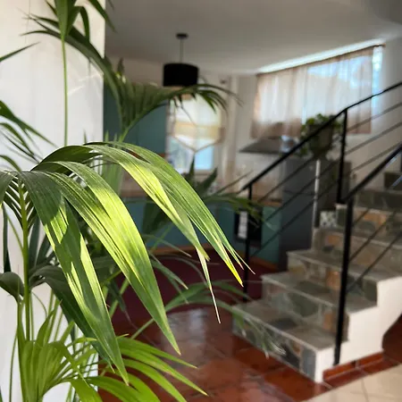 Sakuras House * Πεσάδα
